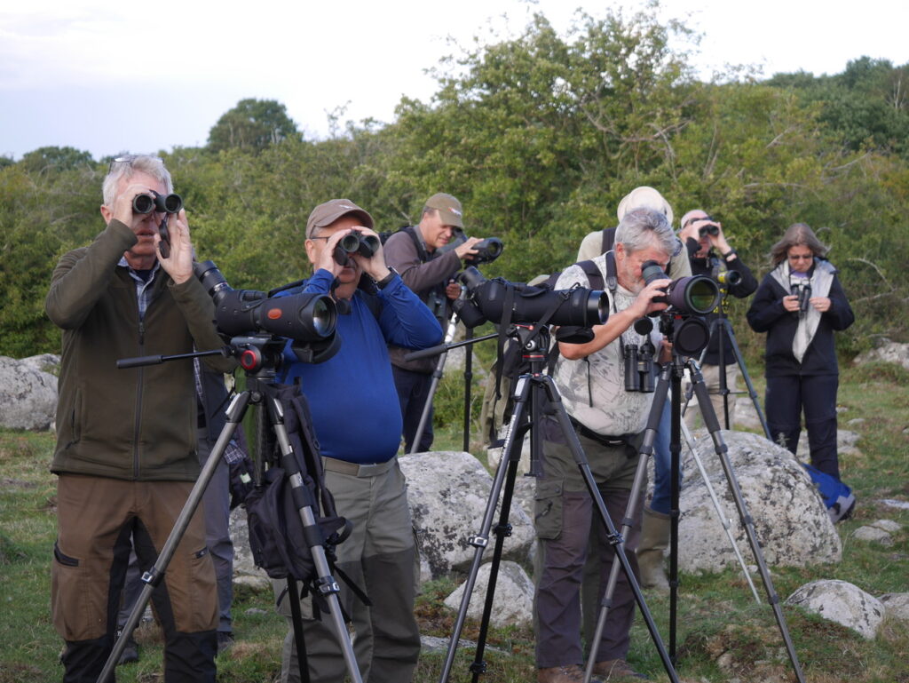 Vadarkväll 2 på Kråkenabben @ Kråkenabben