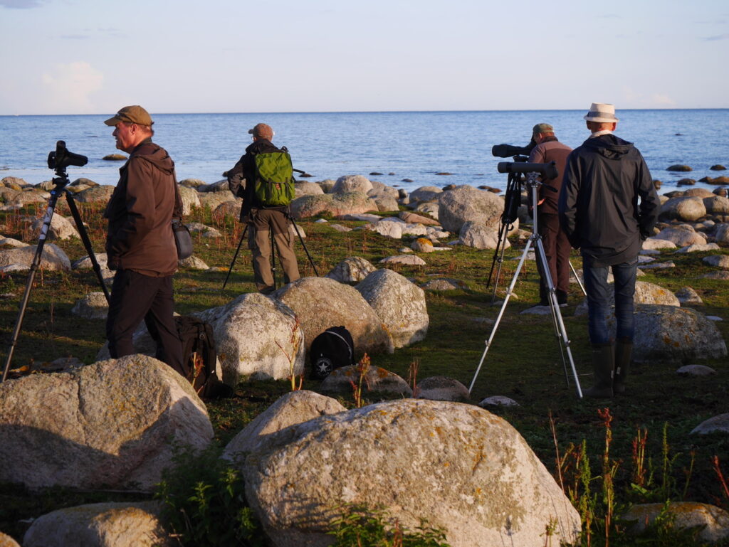 Vadarkväll 1 på Kråkenabben @ Kråkenabben