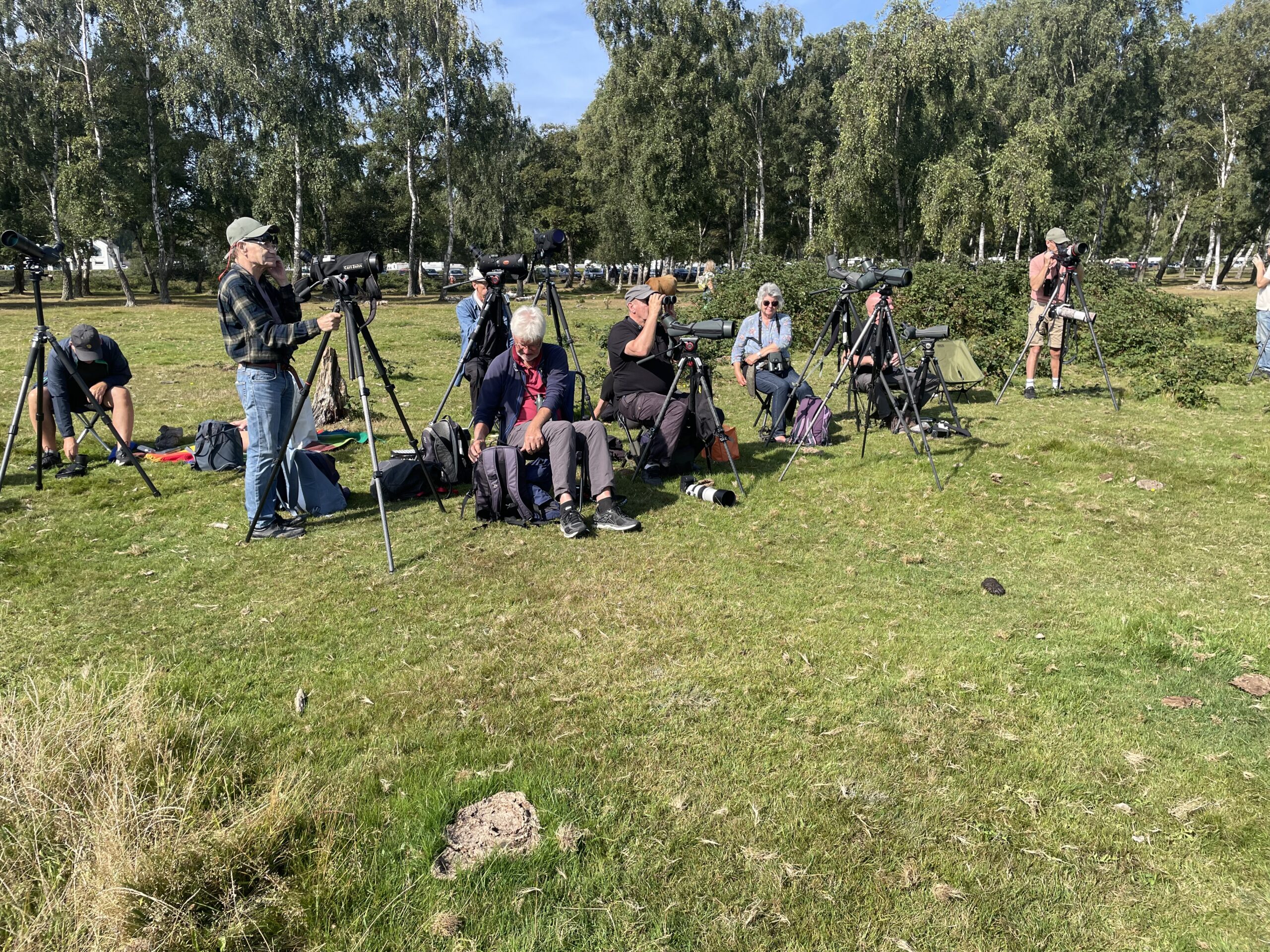 Falsterbo Bird Show 2026 @ Falsterbo - Ljungen